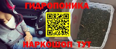 трава Кимры