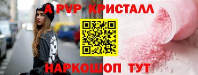 амф Кингисепп