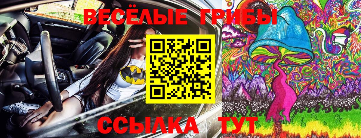 Карталы  Галлюциногенные грибы Psilocybe  Вход с VPN 